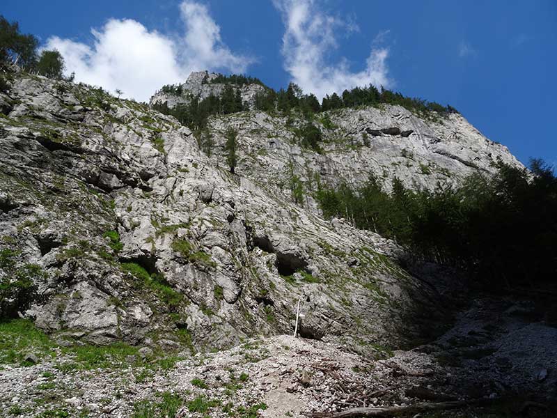 Buchbergkogel